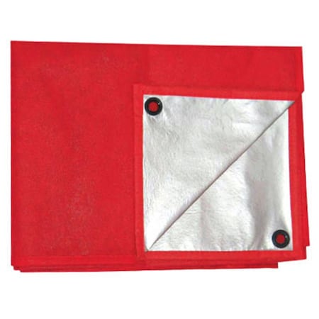 Master Tradesman Master Tradesman MT5X7REDSILVERPICNIC 5 x 7 ft. Picnic Tarp; Red & Silver 147161